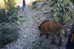 26992627-217536305471678-7257132984597274717-n