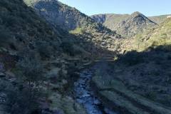 26992763-217536385471670-7954063470309086781-n