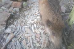 26993606-217536262138349-5038815548880027457-n