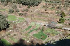 26994077-217536332138342-286341960748689936-n