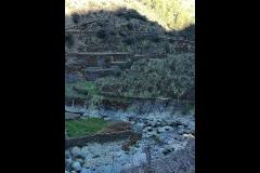 27067044-217536422138333-8326524372408372568-n