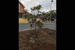 img-20180323-wa0002